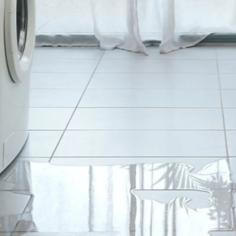 Appliance Leak Cleanup in Allegany, NY