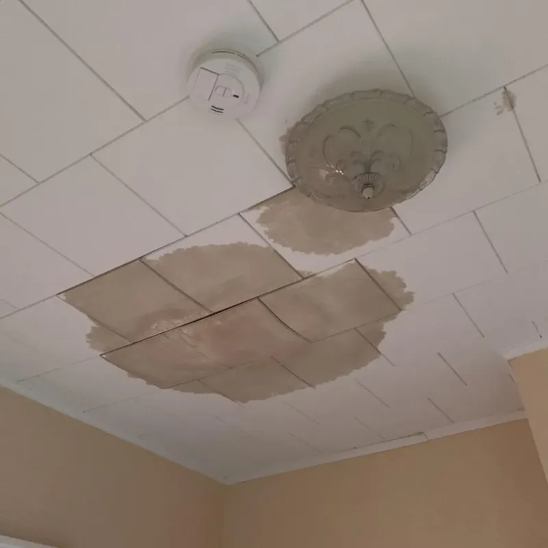 Ceiling Water Damage Repair in Allegany, NY
